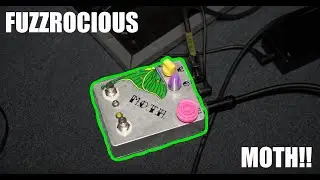 An Old Friend Returns!! Fuzzrocious 