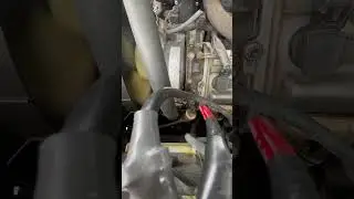 Engine seized on startup