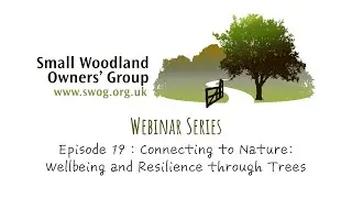 Connecting to Nature: Wellbeing and Resilience through Trees