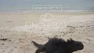 How to get to Finch Bay Hotel🌟