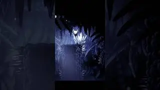 early pogo strats | Hollow Knight