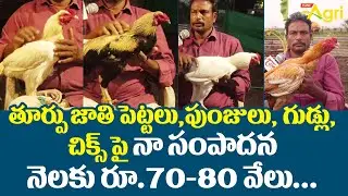 Toorpu Jathi Kollu | తూర్పు జాతి పెట్టలు, పుంజులు పై నా సంపాదన నెలకు రూ. 70-80 వేలు..! Tone Agri