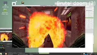 Brutal doom 2 on Linux  Native