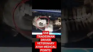 SSB TRADESMAN DRIVER VETERINARY AYAH MEDICAL POINTS