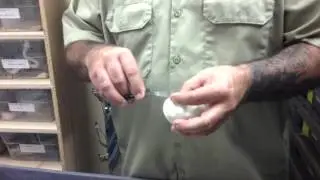 Lone Star Reptiles