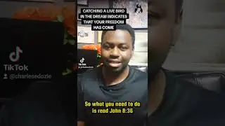 Catching a live bird in the dream