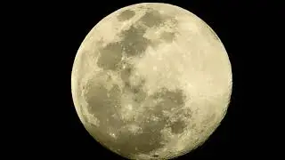 Full Moon March 2020 / Full Worm SUPERMOON