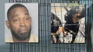 Pompano Beach man accused of leaving 2 dogs in cages on driveway with no food for days