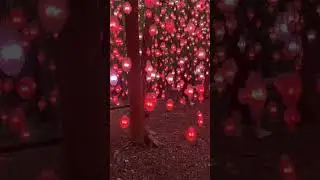 #NordicPixelForest #Ekebergparken #oslo #norway_nature #sculpturepark