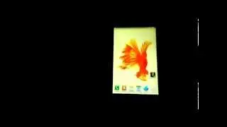 Betta Fish Video Wallpaper For iPhone 6S Plus