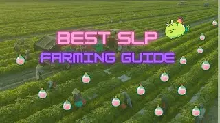 Best SLP Farming Guide