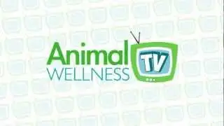 AWTV.mov