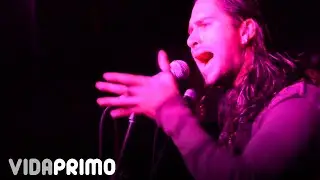 Anima Inside - Yellow Ledbetter (Live Club Blues) Jam