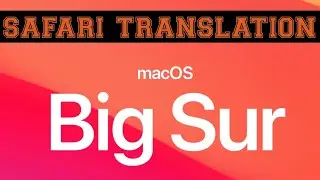 Перевод Safari не отображается &mdash; как это исправить в macOS 11 Big Sur