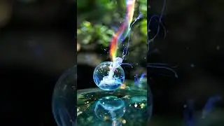 Aurora Glow: Enchanted Jellyfish in a Floating Bubble