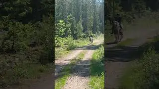 Horseback riding in Sweden