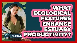 What Ecological Features Enhance Estuary Productivity?