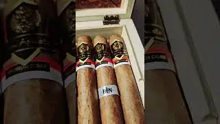 Don Agusto By Bin Cigar