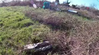chasse au renard la der de l'ann&eacute;e