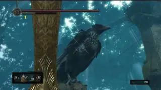 Dark Souls Remastered | Killing friendly NPCs - Giant Crow (can't be killed)