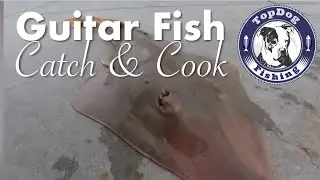 Guitar Fish Catch & Cook