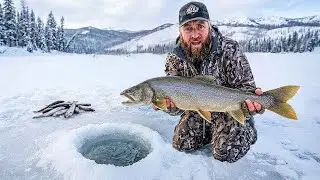 I Go Ice Fishing For EVERYTHING That Bites!