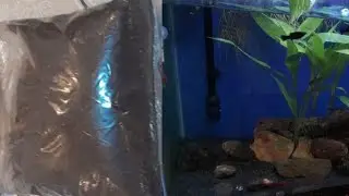 COMO COLOCAR TURFA EM AQUÁRIO _ pH ÁCIDO