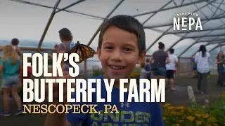 Folk's Butterfly Farm | Nescopeck, PA