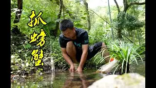 华农兄弟：搞点鸡肠抓螃蟹，收获满满，全部煎掉