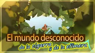 [FactPlus] El mundo desconocido de la cigarra y la efímera | Iglesia de Dios
