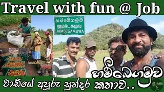 හම්බෙගමුව වාඩියේ නොහිතපු කතාව 😍 Unexpected story of the hambegamuwa sit-in 🤔