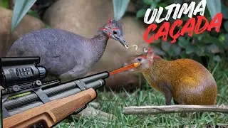 Última Caçada Na Ceva De Milho 🌽 Com a K1 que Pode Ser Sua 🫵