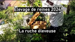 Saison 02 - épisode 16 : La ruche éleveuse