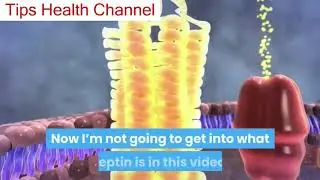 leptitox review - leptitox review - what is leptitox and does it really work