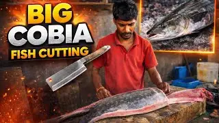 ⚠️🔪 BIG COBIA FISH CUTTING 🔪 | One Fish, Heavy Knife Work! #fishcutting #fillet #viralvideo 