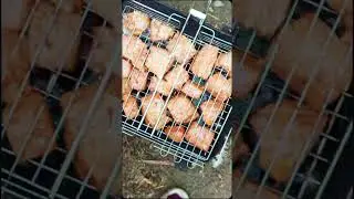 Шашлык, шашлычок #рекомендации #шашлык #фитосорбент #жпам11 #вкуснаяеда #siberianwellness #обзор