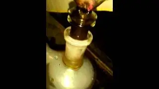 9 Arm Tree Perc Ashcatcher