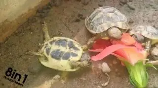 Epic finish       Хороший финишЬ