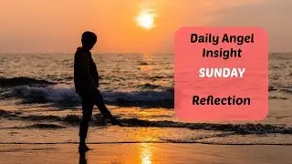 Daily Angel Insight: Reflection