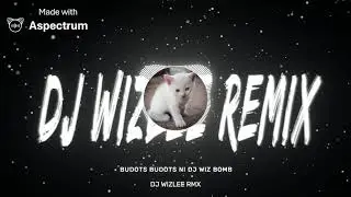 Budots Budots Hands Up &mdash; DJ WIZLEE RMX