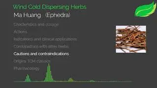 Ep 01: Wind Cold Dispersing Herbs. Ma Huang, Gui Zhi, Qiang Huo, Zi Su Ye. Series: Herbal Medicine: