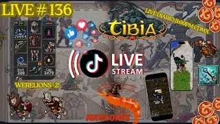 RP 450+ werelios | MS 220+ Glooth bandits | Live #136 #tibia #cipsoft #mmorpg #tibiaglobal