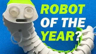 I Built a Soft Robotic Snake &mdash; Here&rsquo;s What I Learned