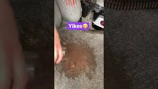 Chocolate Milk Cleaning Challenge