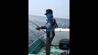Sport Fishing Fun, Solli Pidipathu 😂 Yellow Fin on Major Craft Jigpara Jig