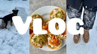 ❤️ VLOG❤️Бюджетное меню🥘👍//Новый питомец 🐶//Хобби👍//Январь,2026