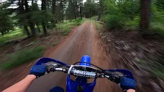 Exploring hidden trails on TTR230