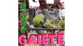 【Official Audio】gaiet&eacute; / quechwa(ケチャ)