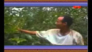 Akliluu Yohaannis(Akko) - Hamama