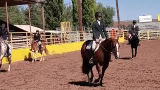 2022 Arizona State 4H Horse Show Jr/ Sr English Pleasure classes